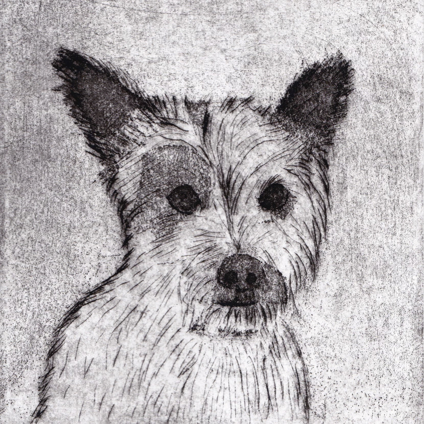 Ziggy Etching by John Fogarty.